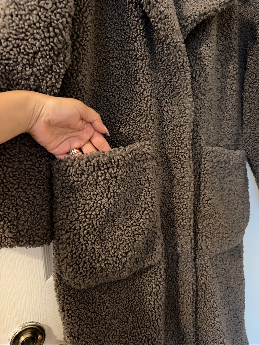 BCBGMaxAzria Taupe Teddy Long Coat with Notch Collar - Picture 7 of 12